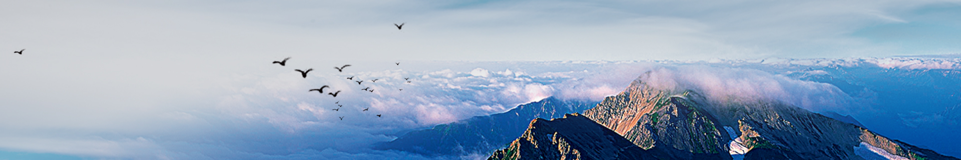 其他页banner