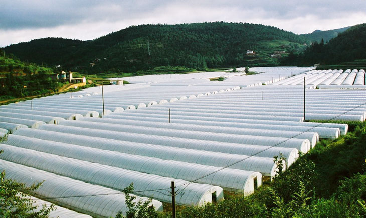 北京顺义区农业生产领域清洁能源项目